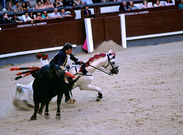 Bullfight in Madrid Spain during traditional event