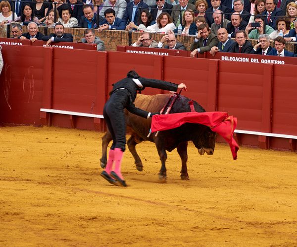 ANDALUSIA SPAIN. Bullfight in Seville Arena