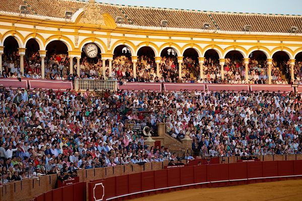 ANDALUSIA SPAIN. Bullfight in Seville Arena