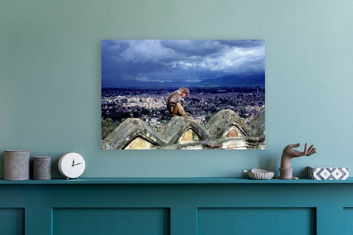 Nepal. Kathmandu. A monkey overlooking the city