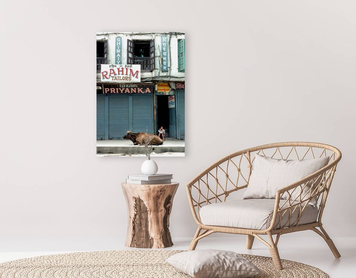 Nepal. Kathmandu. Holy cow