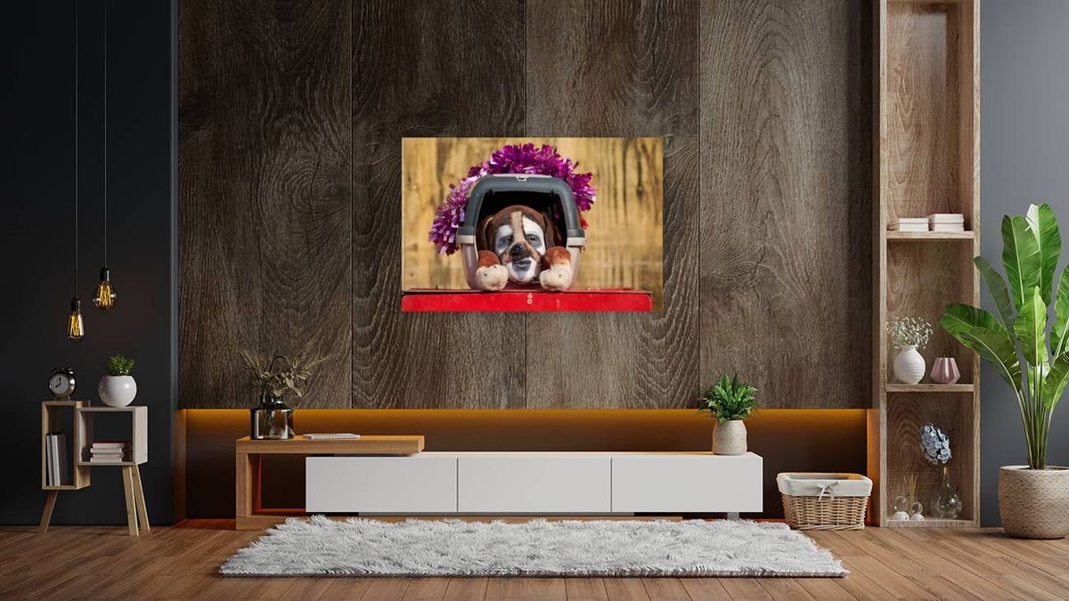 Venice Italy. The Carnival