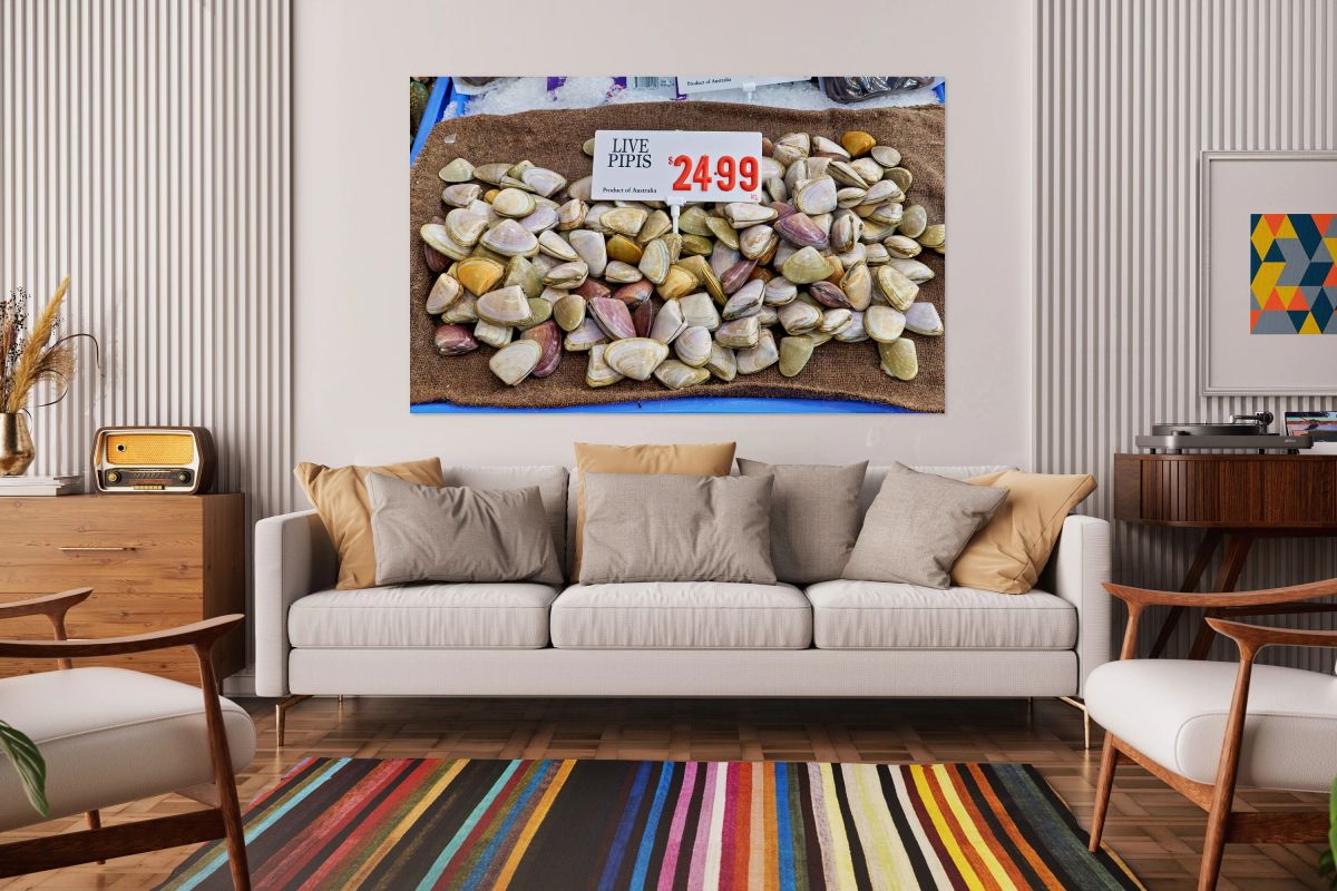 Live pipis for sale at $24.99 per kg.