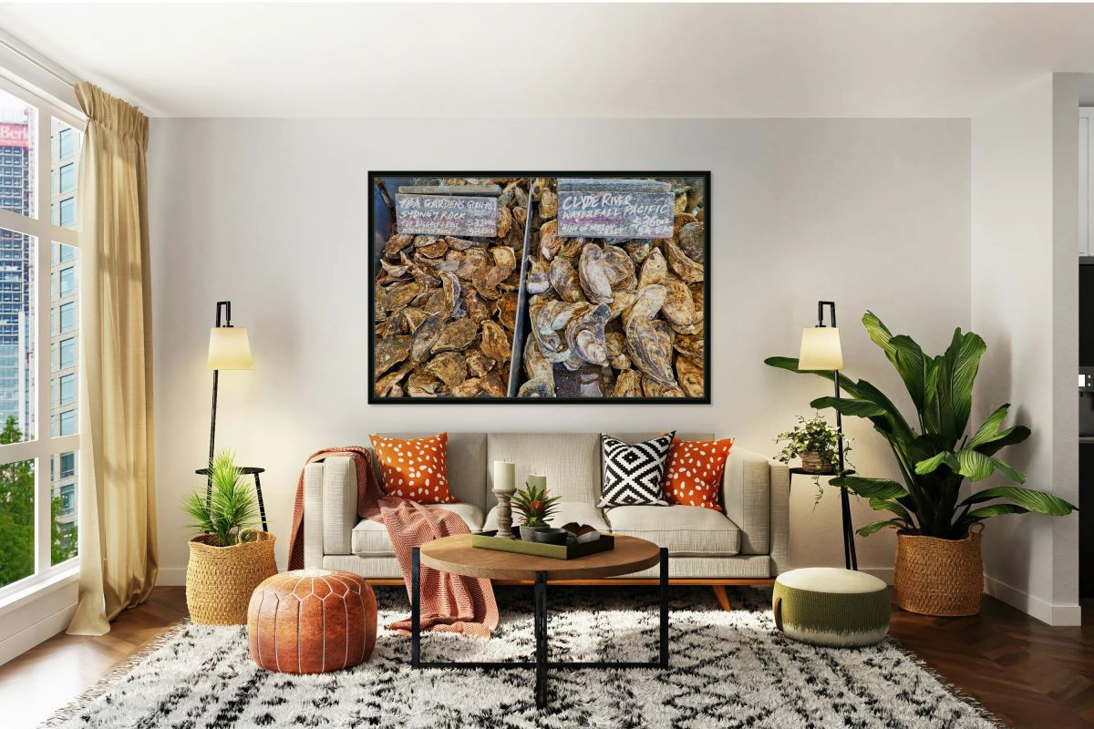 Fresh Sydney Rock and Clyde River oysters on display.