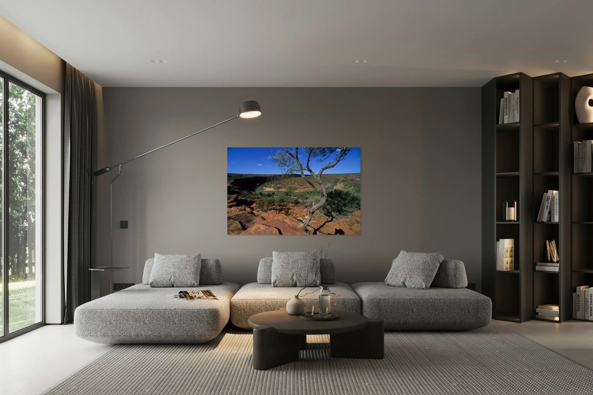 A gnarled tree overlooks a river in a vast canyon.