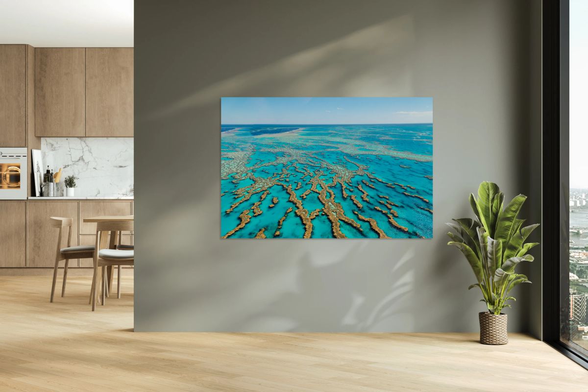 Vibrant coral formations of Great Barrier Reef in Australia