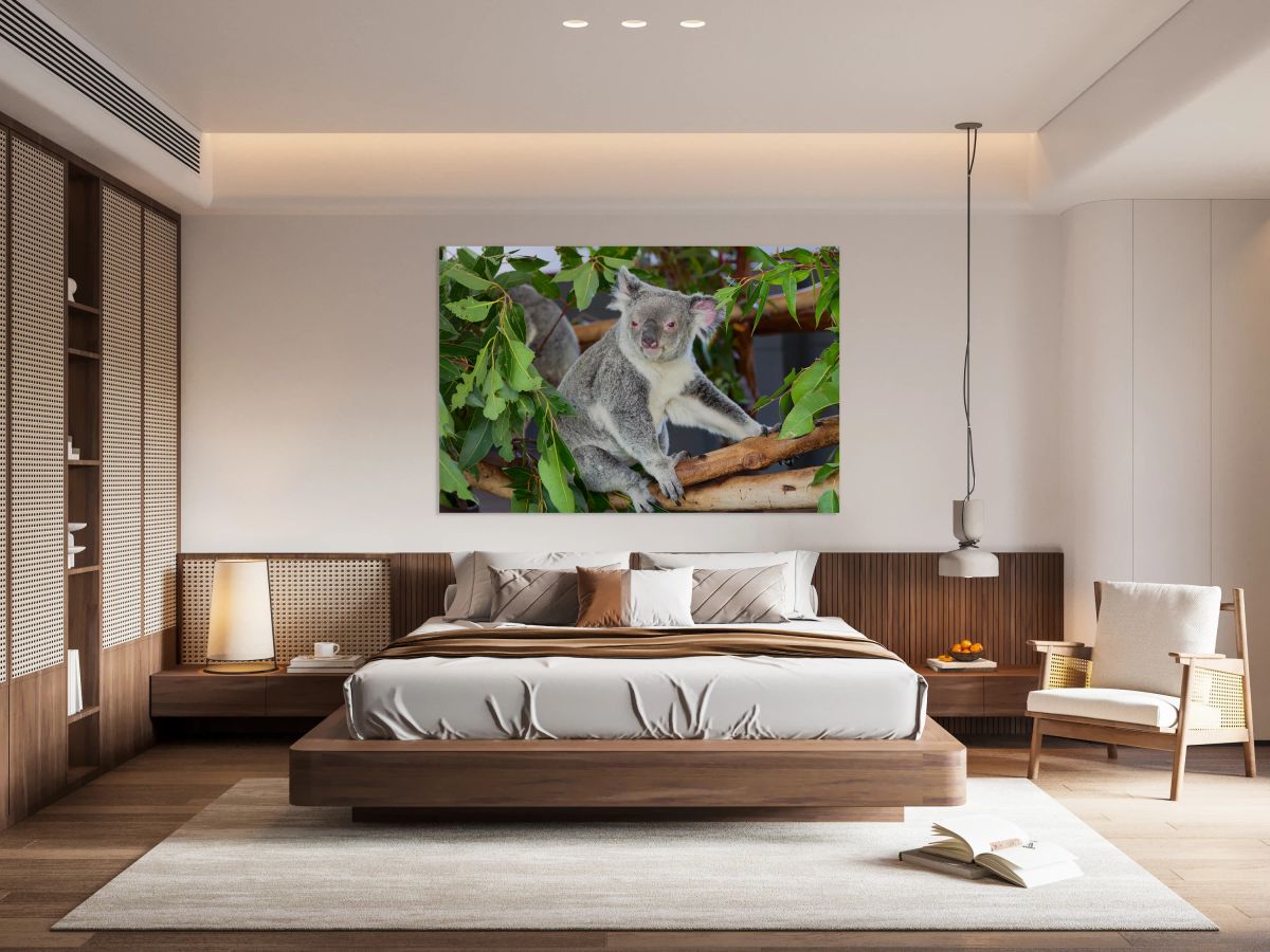 Koala sits on a tree branch among green leaves in Australia