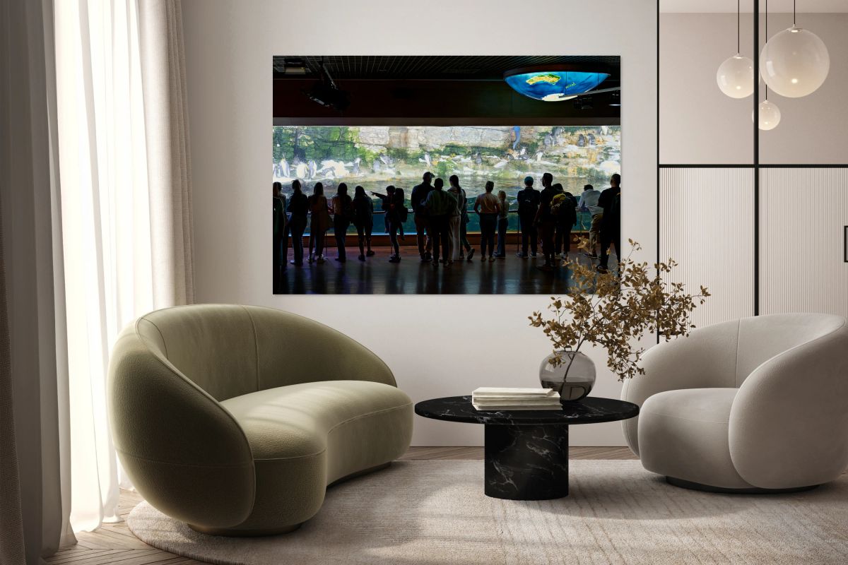 Visitors watch penguins at the Oceanografic in Valencia Spain