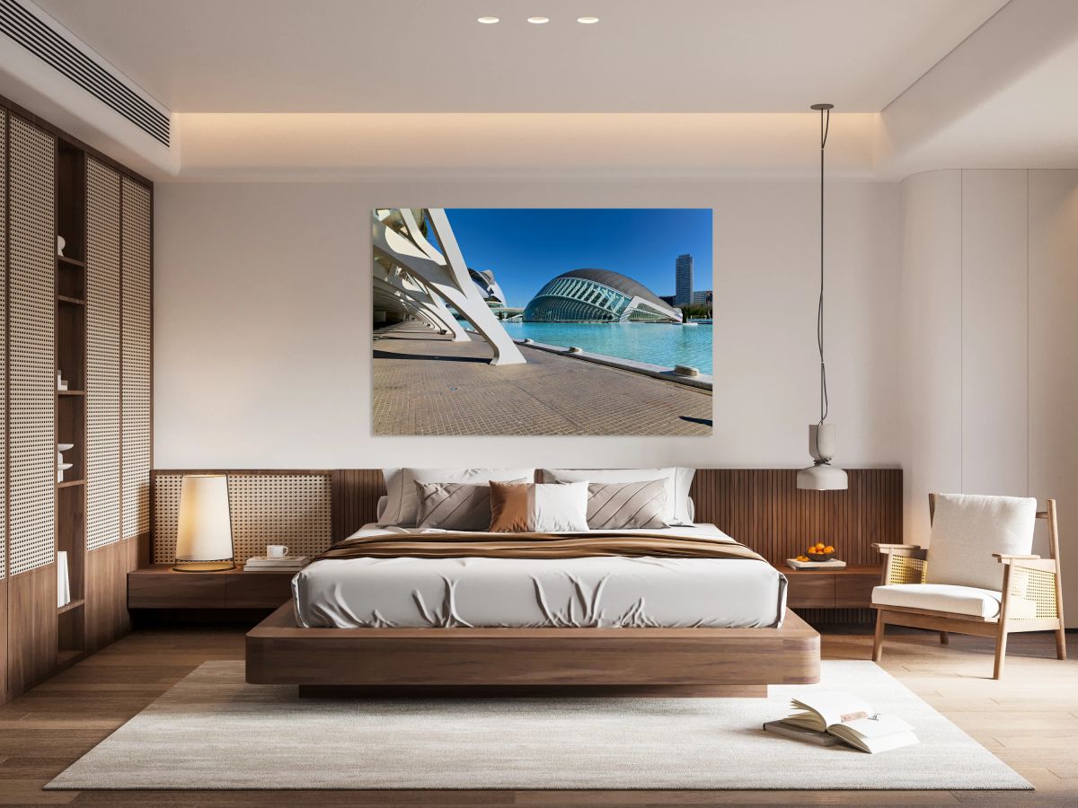 Visit to the city of arts and sciences in valencia spain