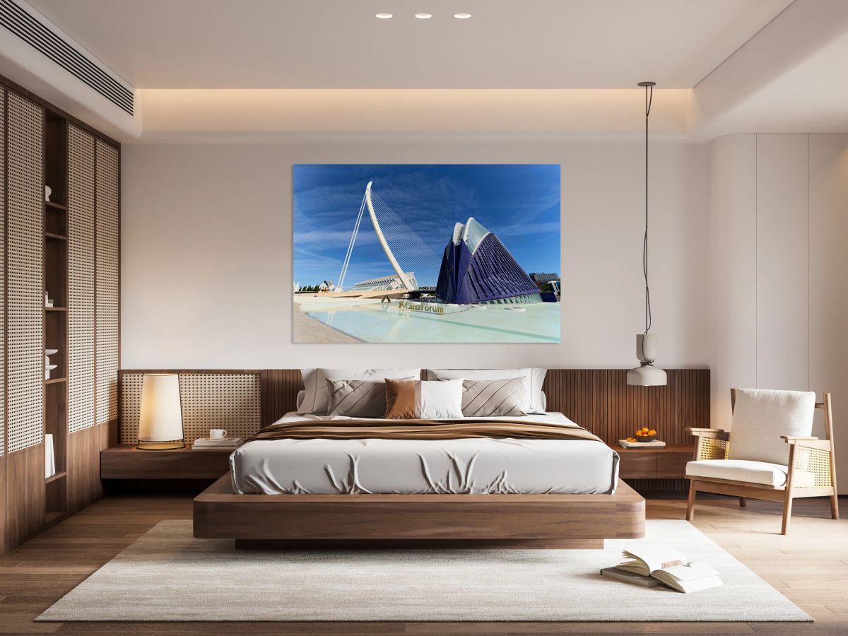 Visit to the city of arts and sciences in valencia spain