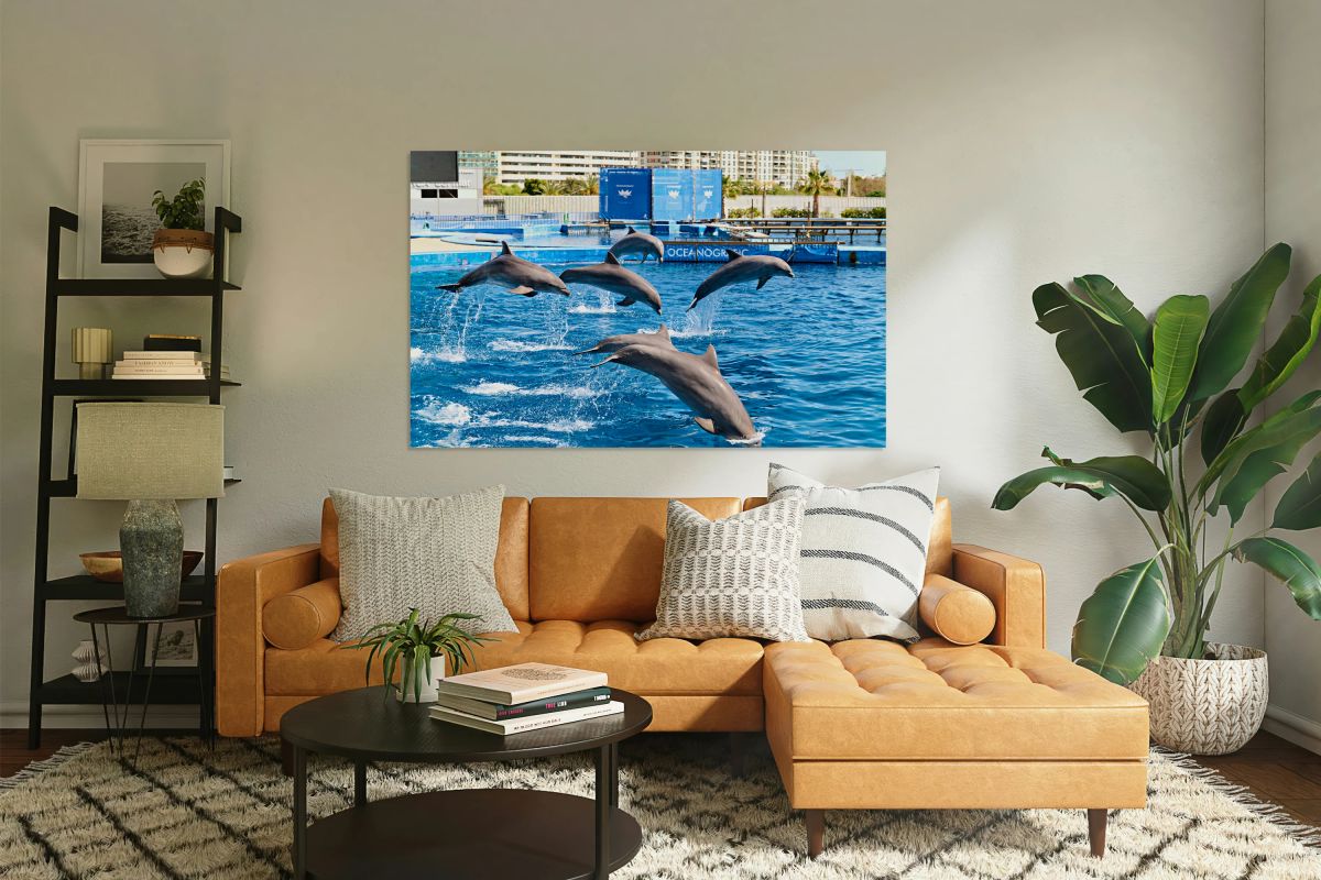 Dolphins display skills at Oceanografic in Valencia Spain