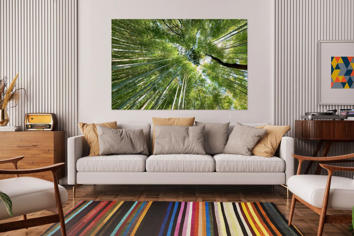 Exploring the tall bamboo trees in Arashiyama Bamboo Grove in Ky