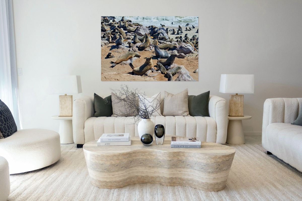 Cape fur seals rest on rocks at Cape Cross in Namibias Skeleton