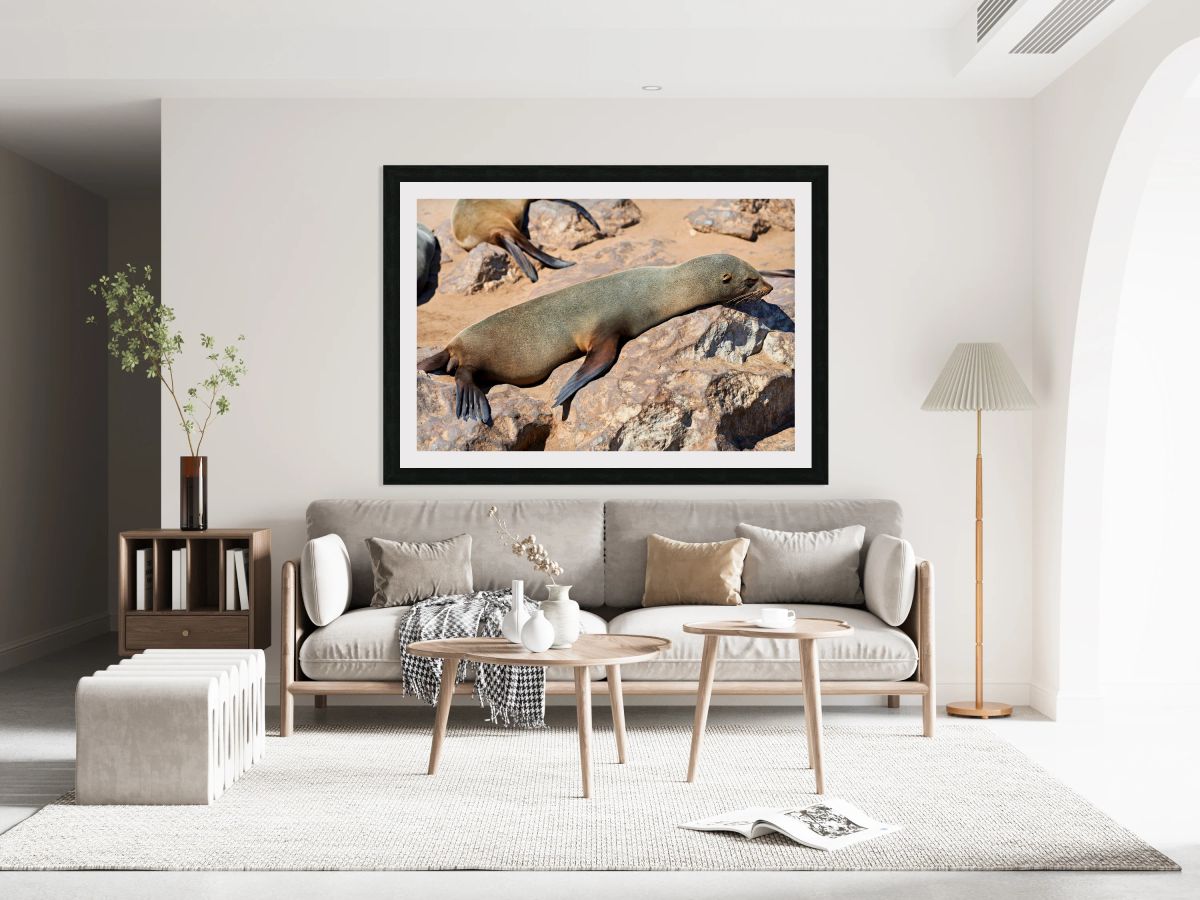 Cape fur seal resting on rocks at Cape Cross in Namibia