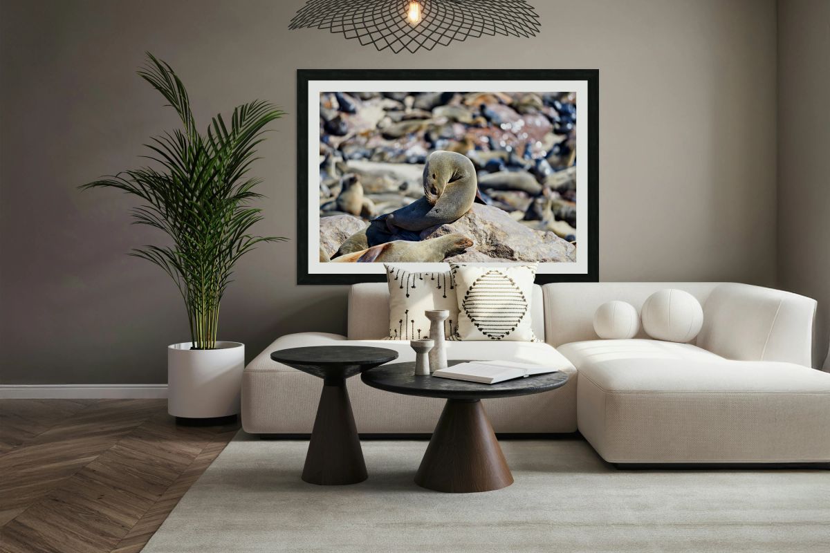 Cape fur seals resting on rocks at Cape Cross in Namibia