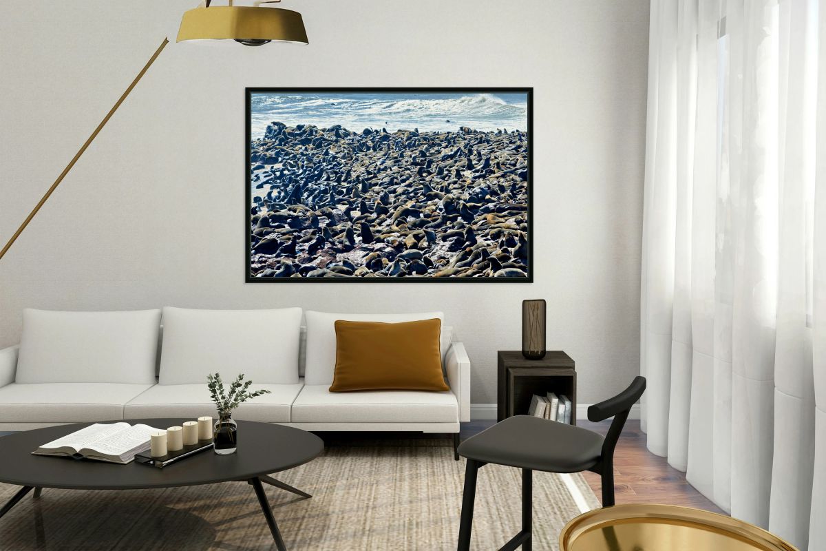 Cape fur seal colony on Skeleton Coast at Cape Cross in Namibia
