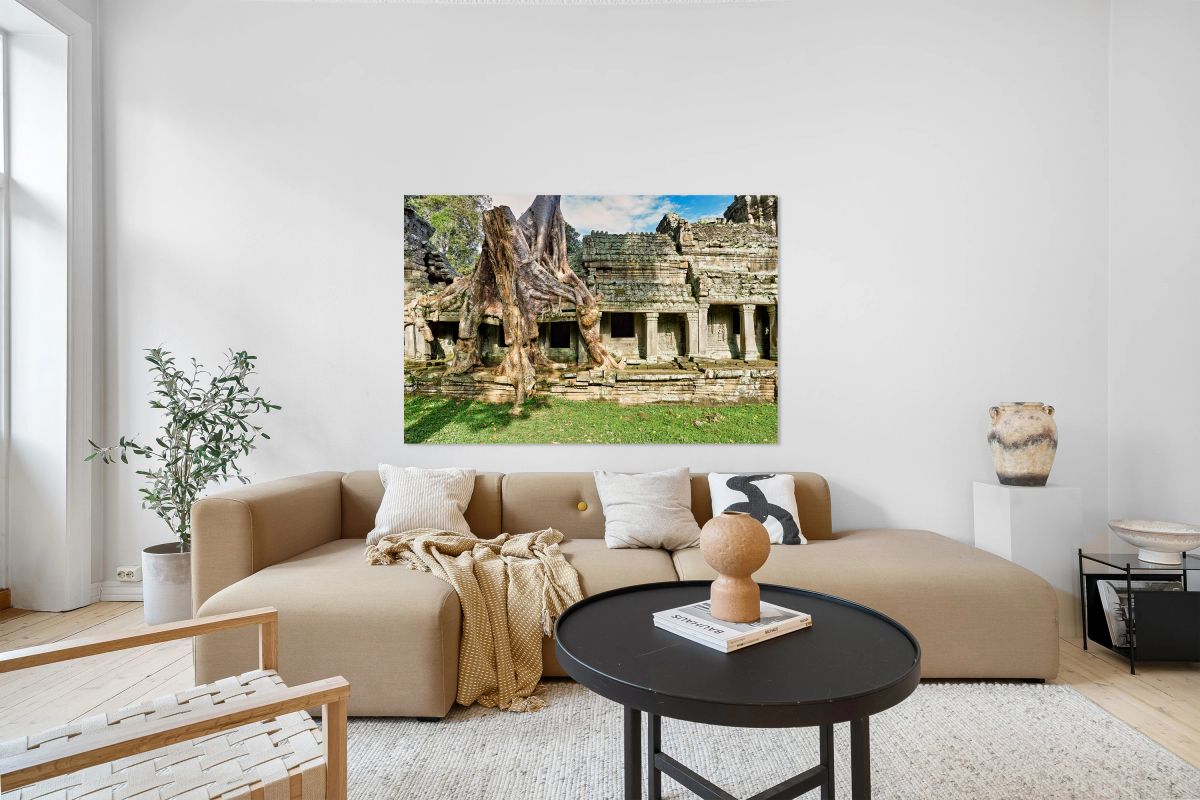 Tree roots engulf ancient temple ruins.