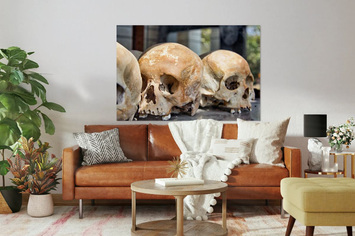 Multiple human skulls on display.