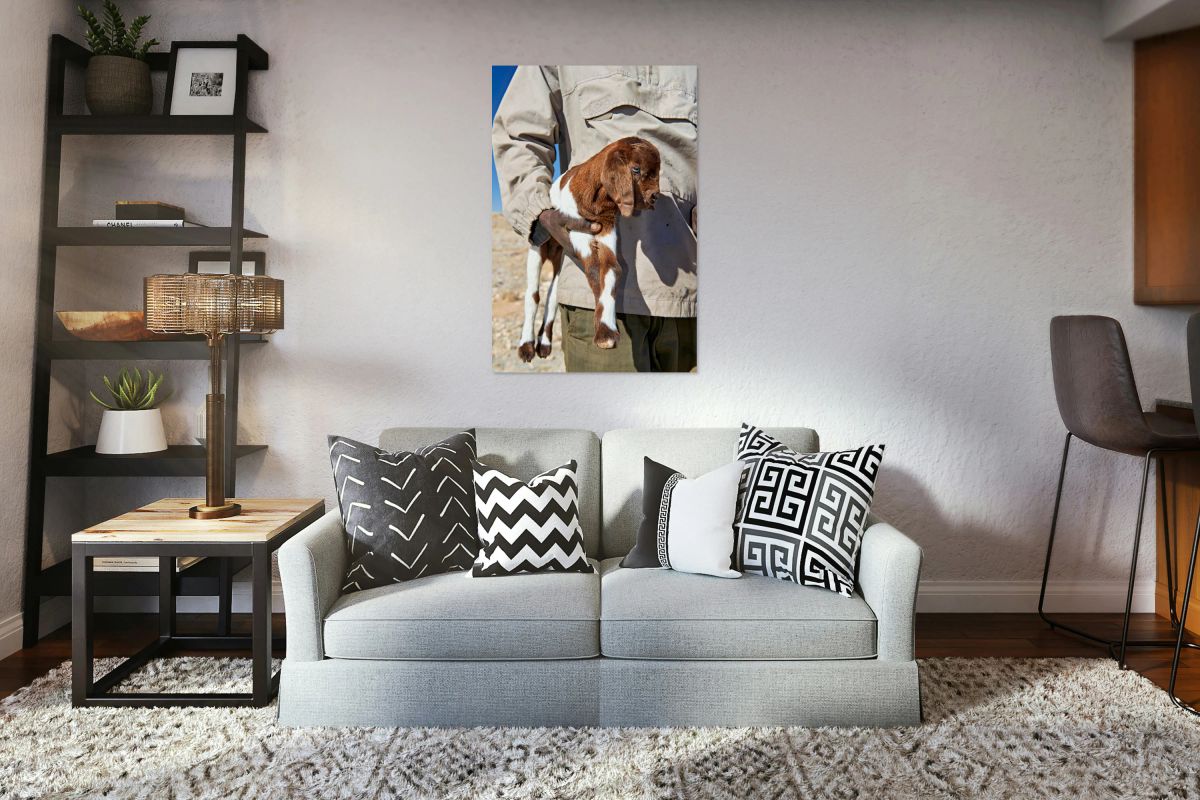Portrait of a shepherd holding a goat in Namibia
