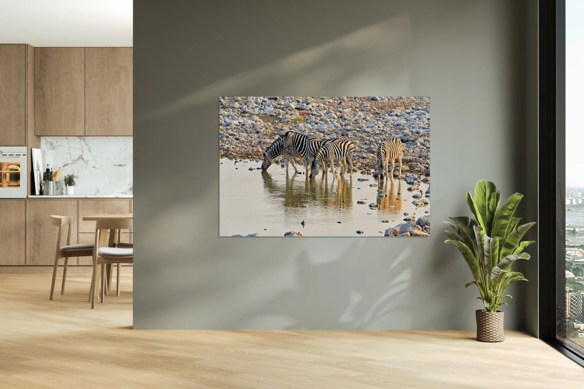 Zebras drink water at a waterhole in Etosha National Park in Nam