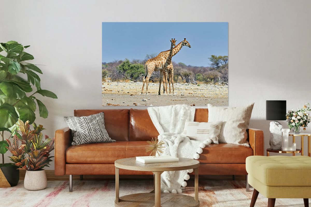 Giraffes walking together in Etosha National Park Namibia
