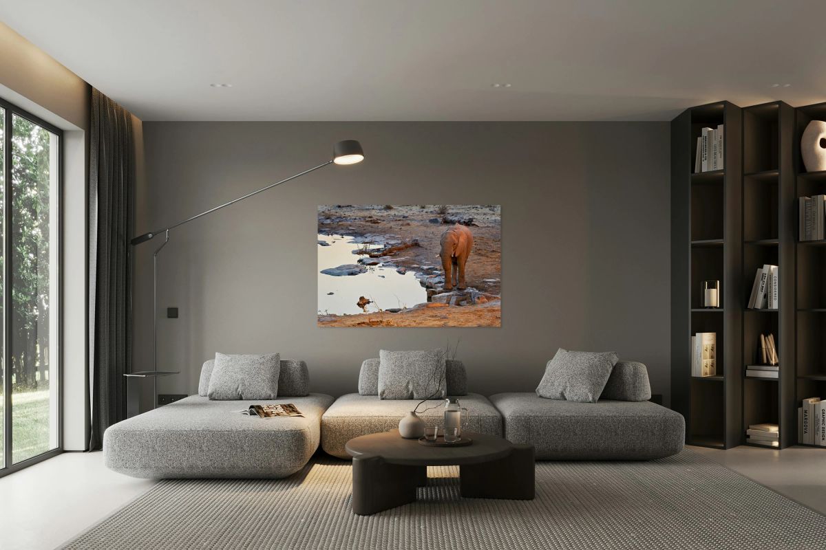 Elephant drinks at waterhole during sunset in Etosha National Pa