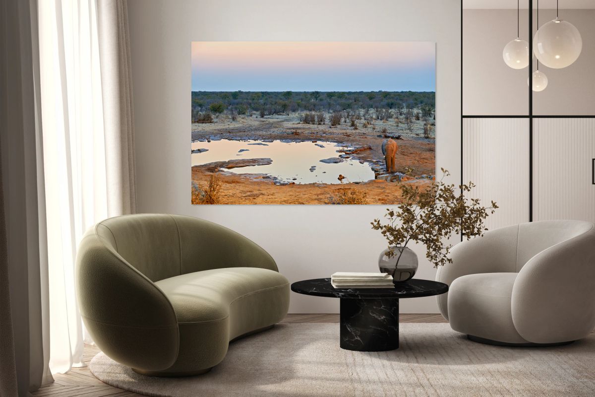 Elephant drinks at a waterhole in Etosha National Park at sunset