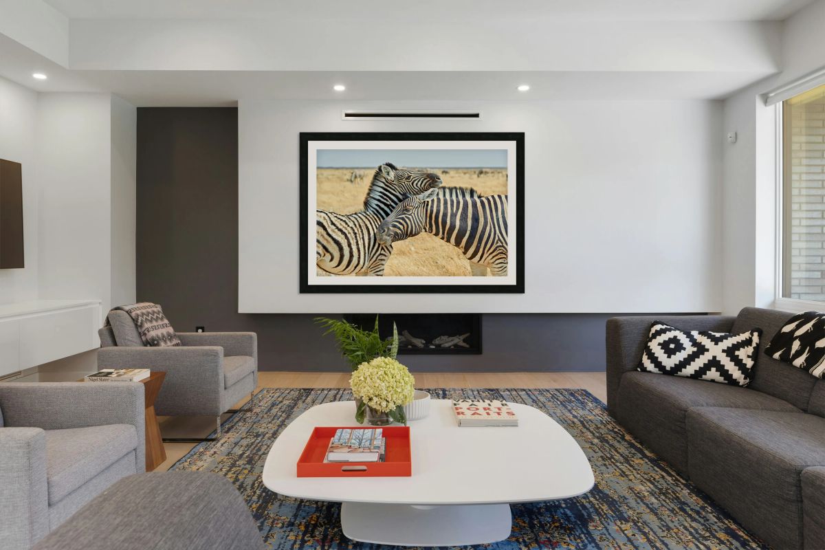 Zebras cuddle in Etosha National Park in Namibia during daylight