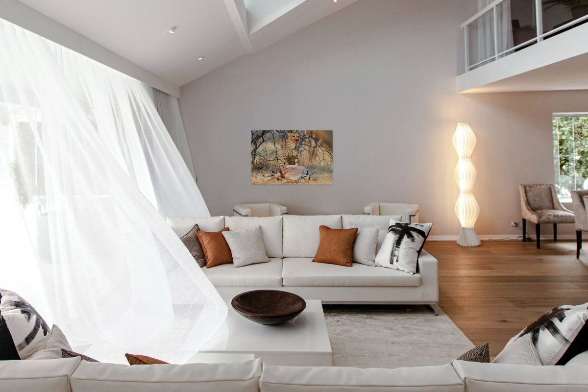 Cheetah with prey at Okonjima Reserve in Namibia after hunt