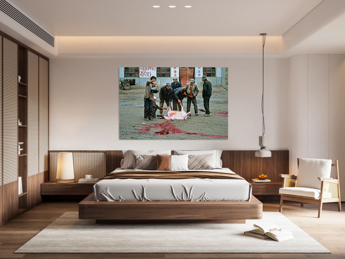 Men butcher sheep in Tibet while performing traditional activity