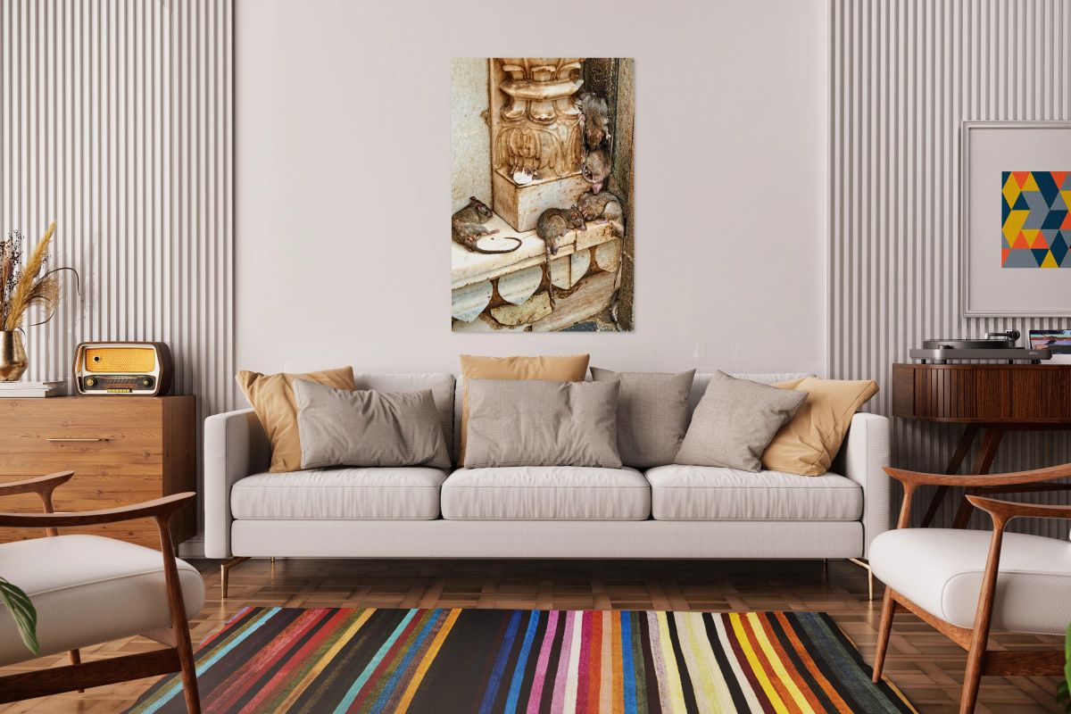 Visit to Shree Karni Mataj Temple with rats in Deshnok Rajasthan