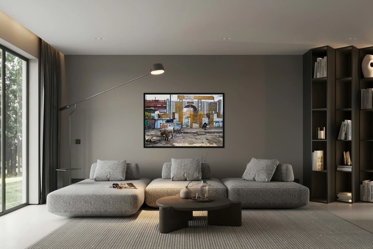 Streets of Bikaner in Rajasthan show daily life and animals