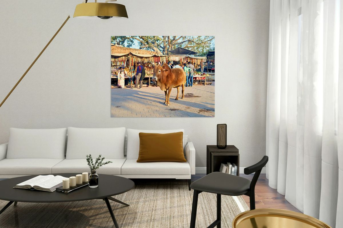 Holy cow walking through busy market in Orchha Madhya Pradesh 