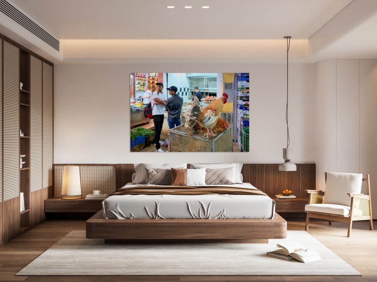 Roosters for sale in the old souk of Fez Morocco