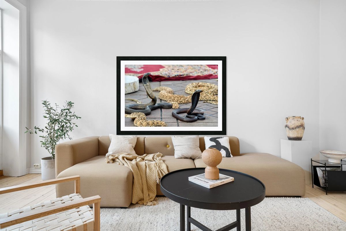 Snake charmers performing in Djema el Fna square of Marrakesh