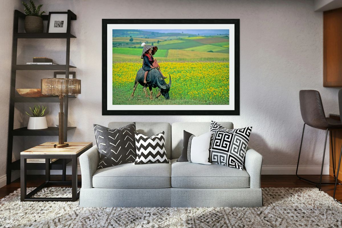 Woman rides a cow in a field in Myanmar
