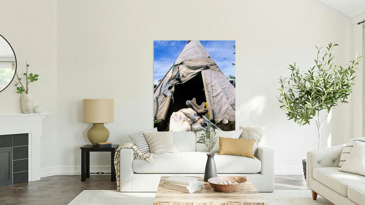 Dukha Tsaatan reindeer herders home in northern Khövsgöl Aima