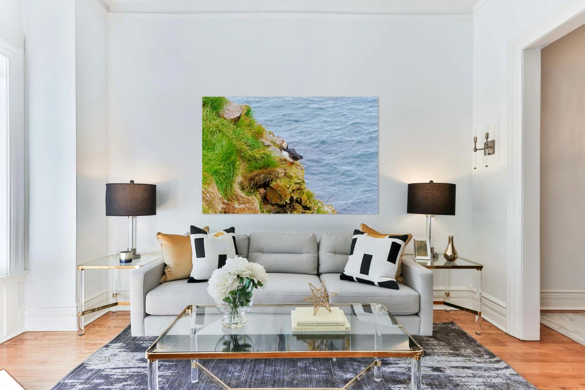 Puffin rests on rocky cliff near Borgarfjordur Eystri in Iceland