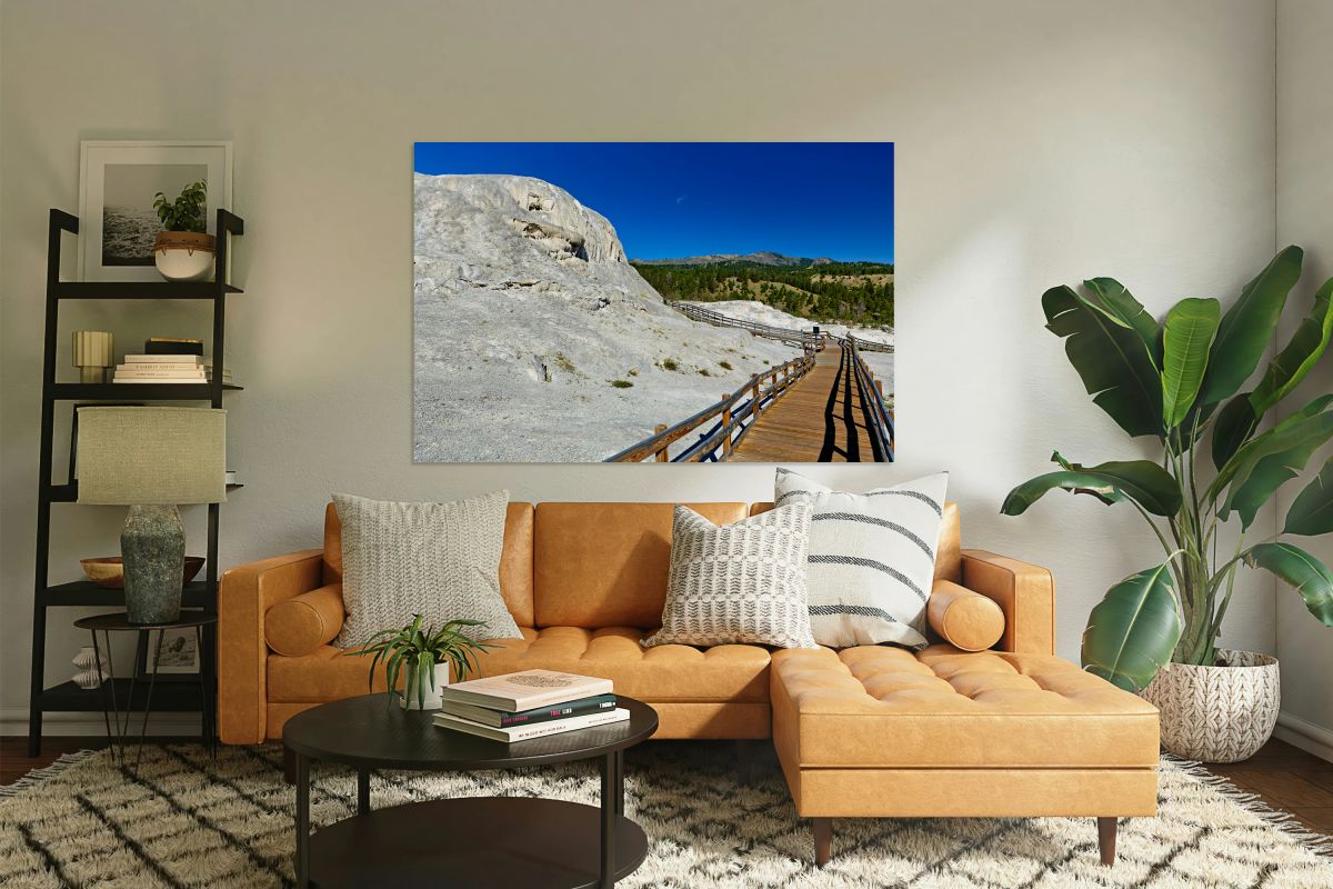 Exploring mound spring and Jupiter Terrace in Yellowstone