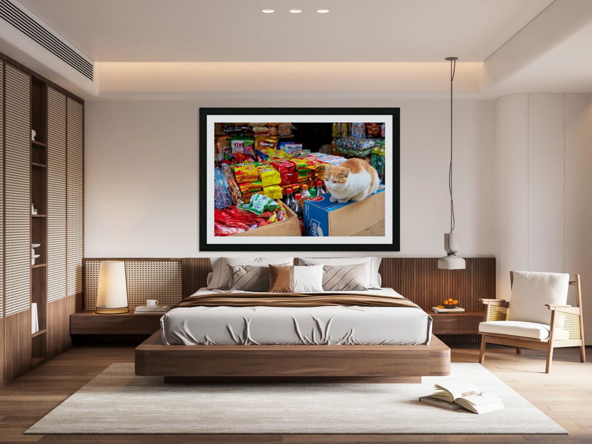 Cat sitting on boxes in Hanoi market during daytime
