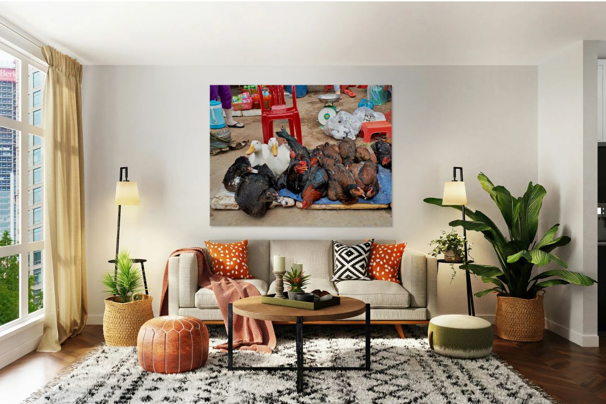 Market scene with live ducks and chickens in Phu Quoc