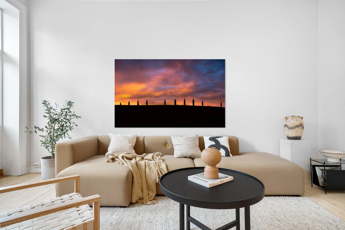 Sunset view over cypresses in Val dOrcia Tuscany Italy
