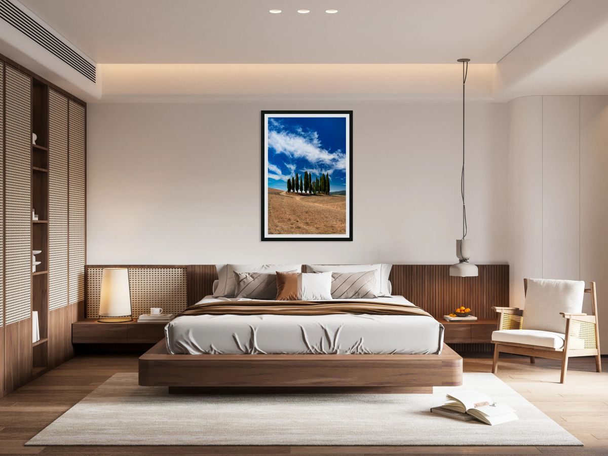 Cypress trees line the road in San Quirico dOrcia Tuscany