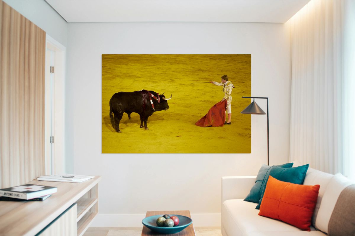 Bullfight takes place in Seville Arena during event in Spain