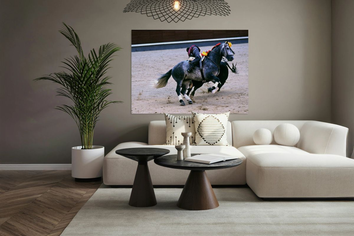 Bullfight action captured in Madrid Spain