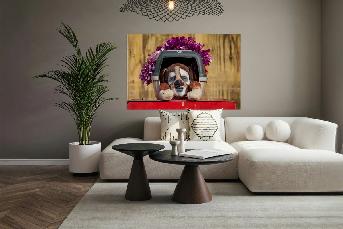 Venice Carnival features costumed performer in a box