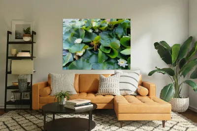 Nature’s Quiet Triumph Reproduction