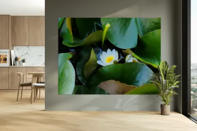 Shy Blossom in Green Embrace Reproduction