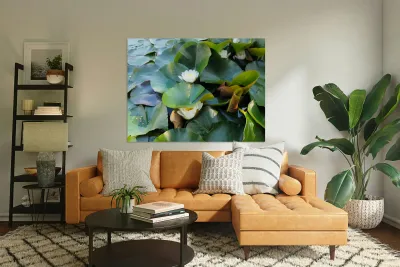 The Secret Life of Lilies Reproduction