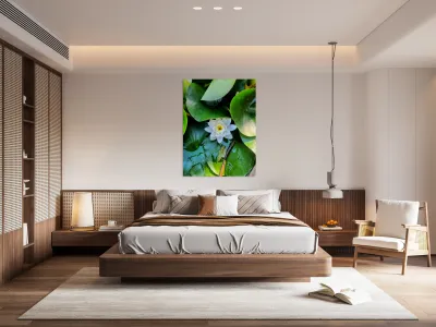 White Radiance in Green Silence Reproduction